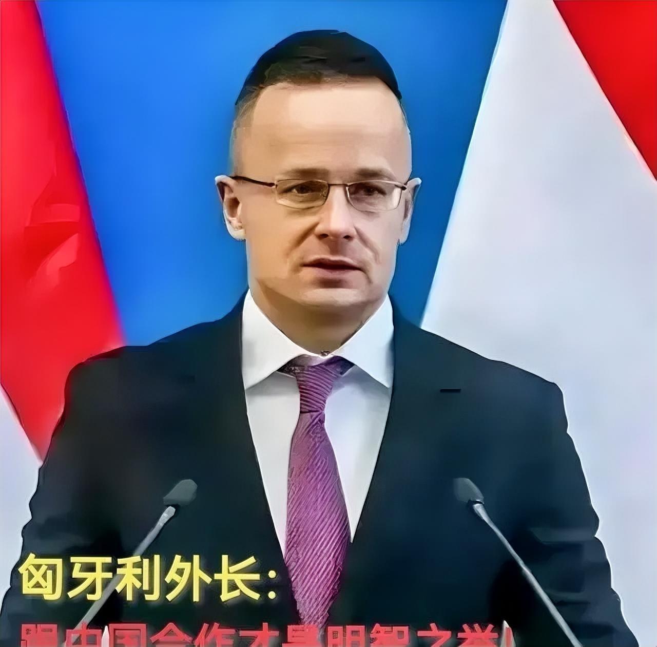 德国悔不当初：匈牙利这颗“钉子”扎穿了欧盟的软肋现在全欧洲最后悔的大概是德国