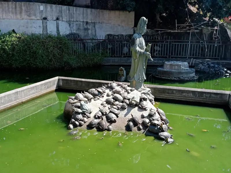 封神演义两个地方写漏了。1.龟灵圣母作为截教四大弟子，死后竟然没有被封神，估计