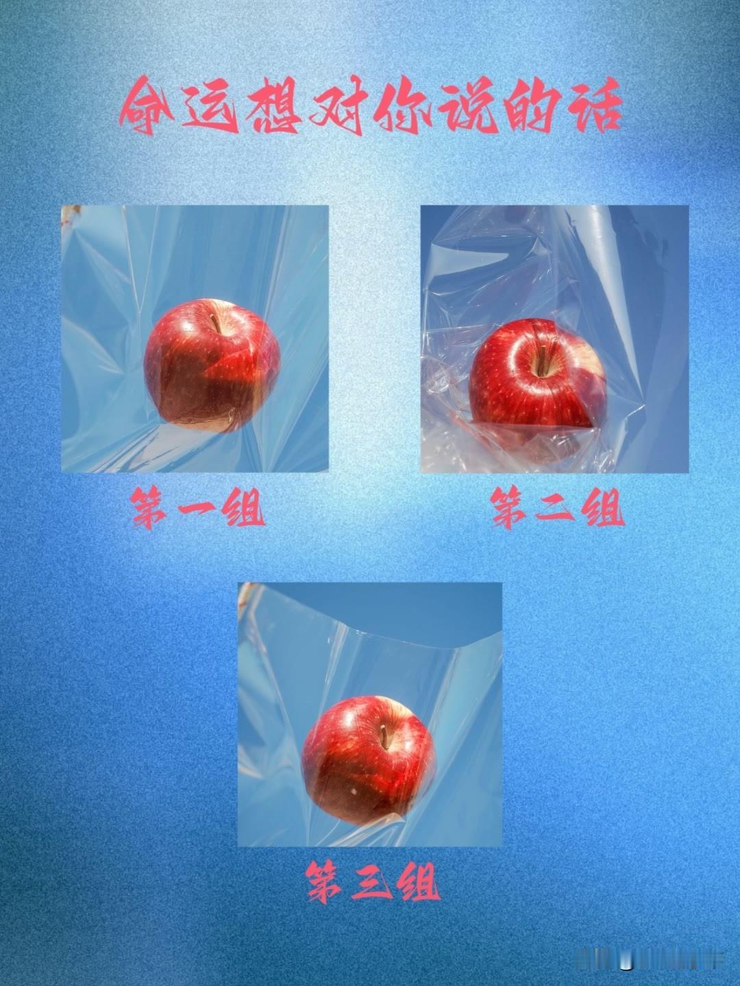 小艺聪明能干又懂我命运想对你说的话