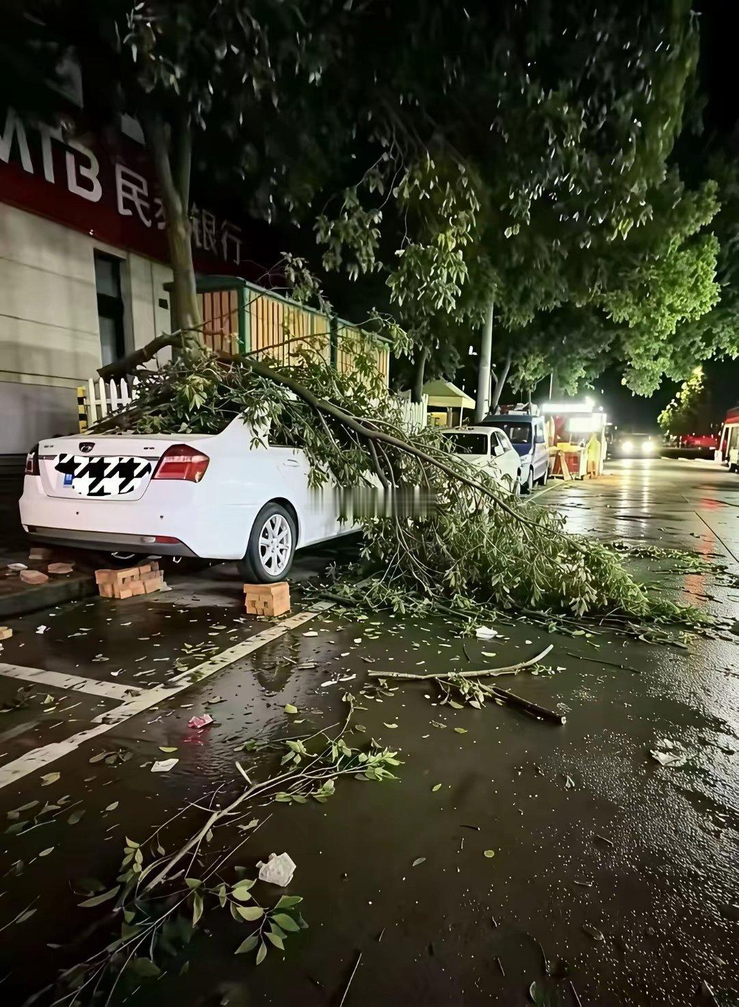 车主台风前预判了各种可能但是还是失算了