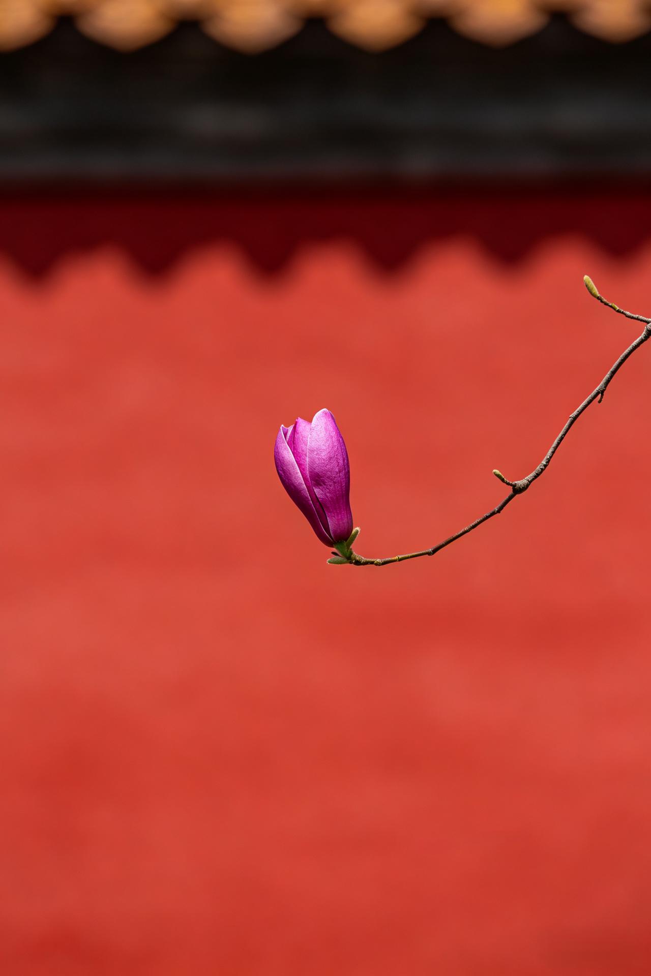 王志文在《天道》中饰演的角色说：“我现在已经不和别人争吵了，因为我开始意识到，