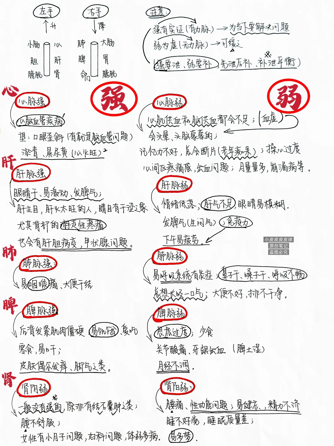 当我把脉只分强弱后，中医瞬间简单了🤯