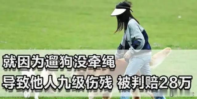 “不牵狗绳，28万没了。”江苏常州，59岁的朱女士在草坪附近散步，迎面跑来一只大