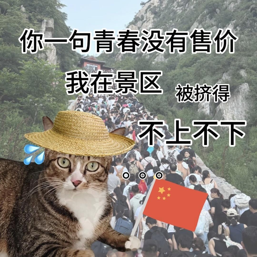 网友称泰山躲雨80元一小时，还是站着躲，花钱找罪受。一个小饭馆靠着地理位置和稀缺