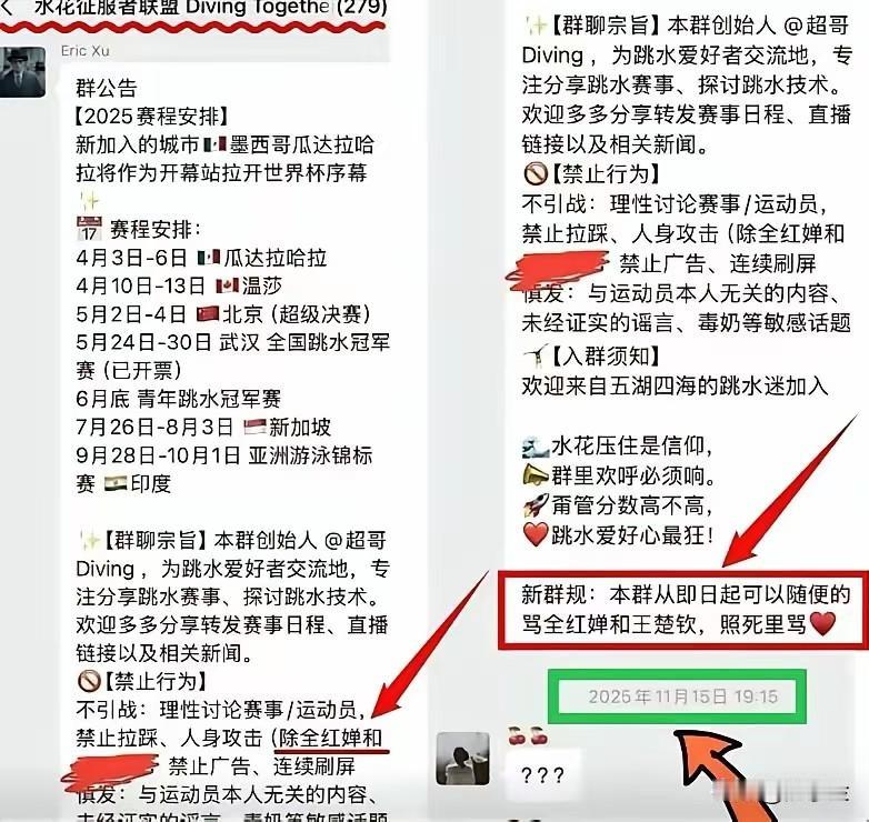 丧心病狂啊！辱骂全红婵的竟然是一群有组织，有预谋的团伙！一个名叫水花征服者联盟