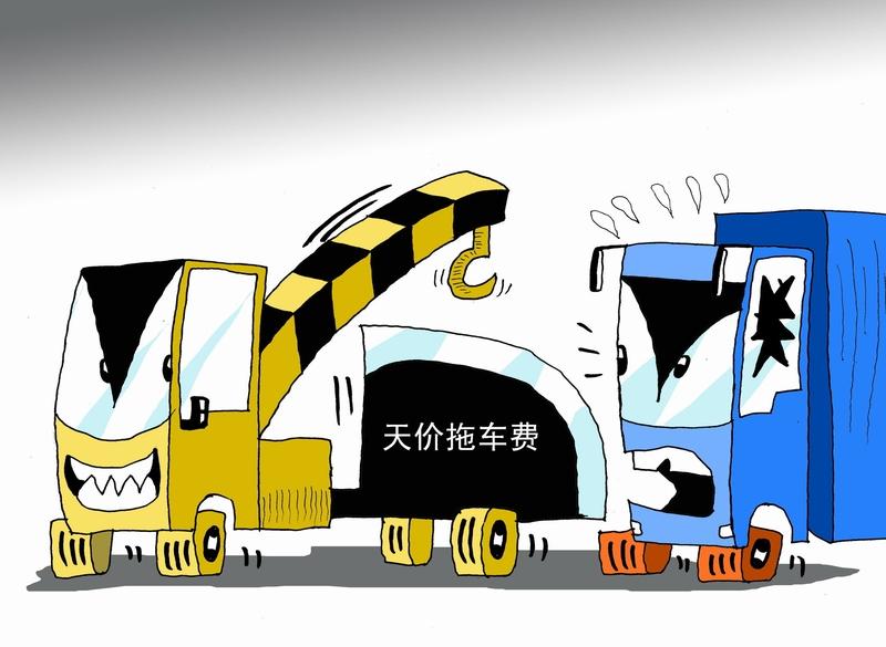 天价拖车费引众怒2月21日，广东游客陈先生在大丽高速遭遇爆胎，交警协助联系的拖