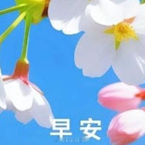 早安心语🌞新的一天，愿你有清晨的微风拂面，有朝阳的温暖相伴。记住：每一天都