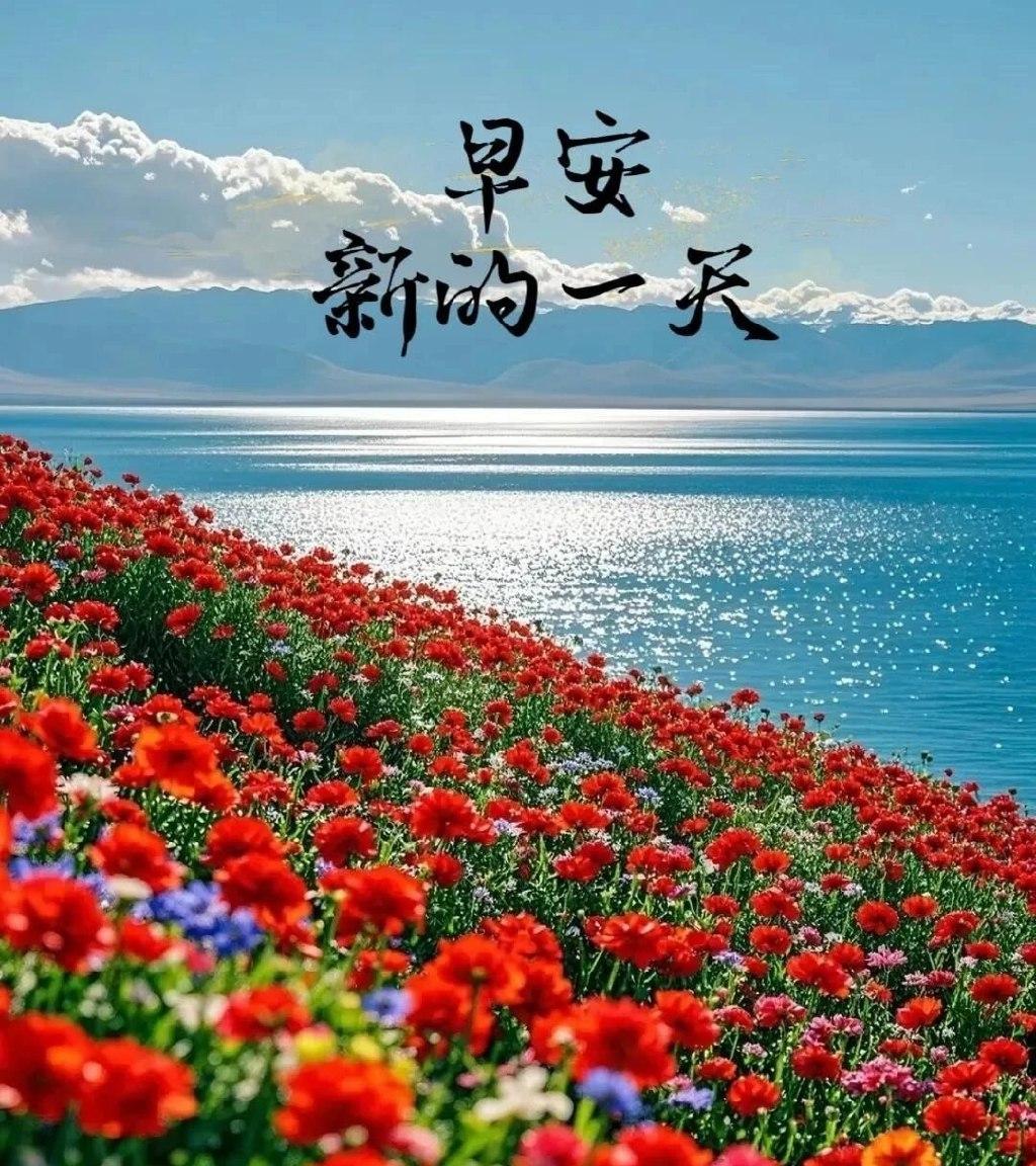 晨光微熹，愿你唤醒内心的微光。每一步前行，都是对昨日的超越对明日的期待。周