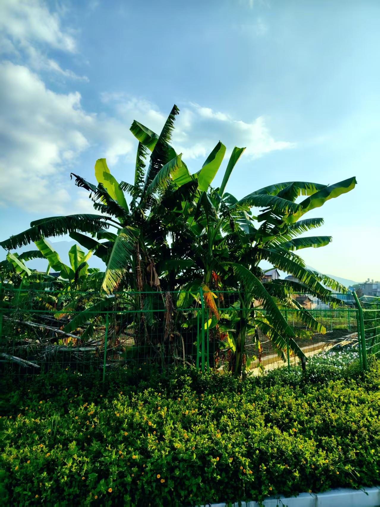 今天闹了场误会一小伙子问：“水，水，水鞋多少钱一双？”我说：“40块。”