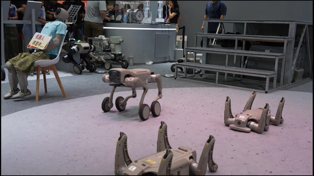 WRC最暖一幕：真导盲犬和机器导盲犬并排带路🐕‍🦺🤖一个靠鼻子闻，一个靠雷达扫，配合得天衣无缝