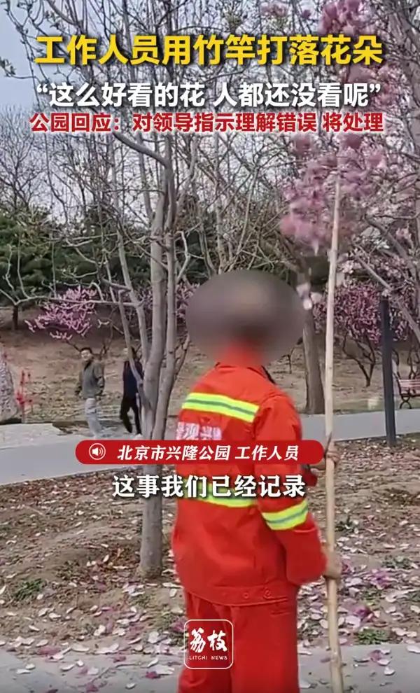 北京，一女子去公园赏花，却发现一名工作人员在用竹竿打落树上的花瓣，女子立刻上前制