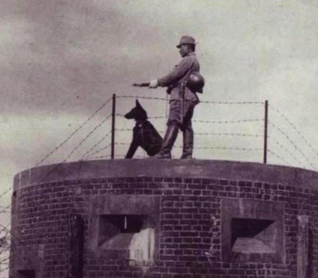 1942年，山东一个日本医生冒死救出26名八路军，全军感激涕零，罗荣桓却冷冷地说
