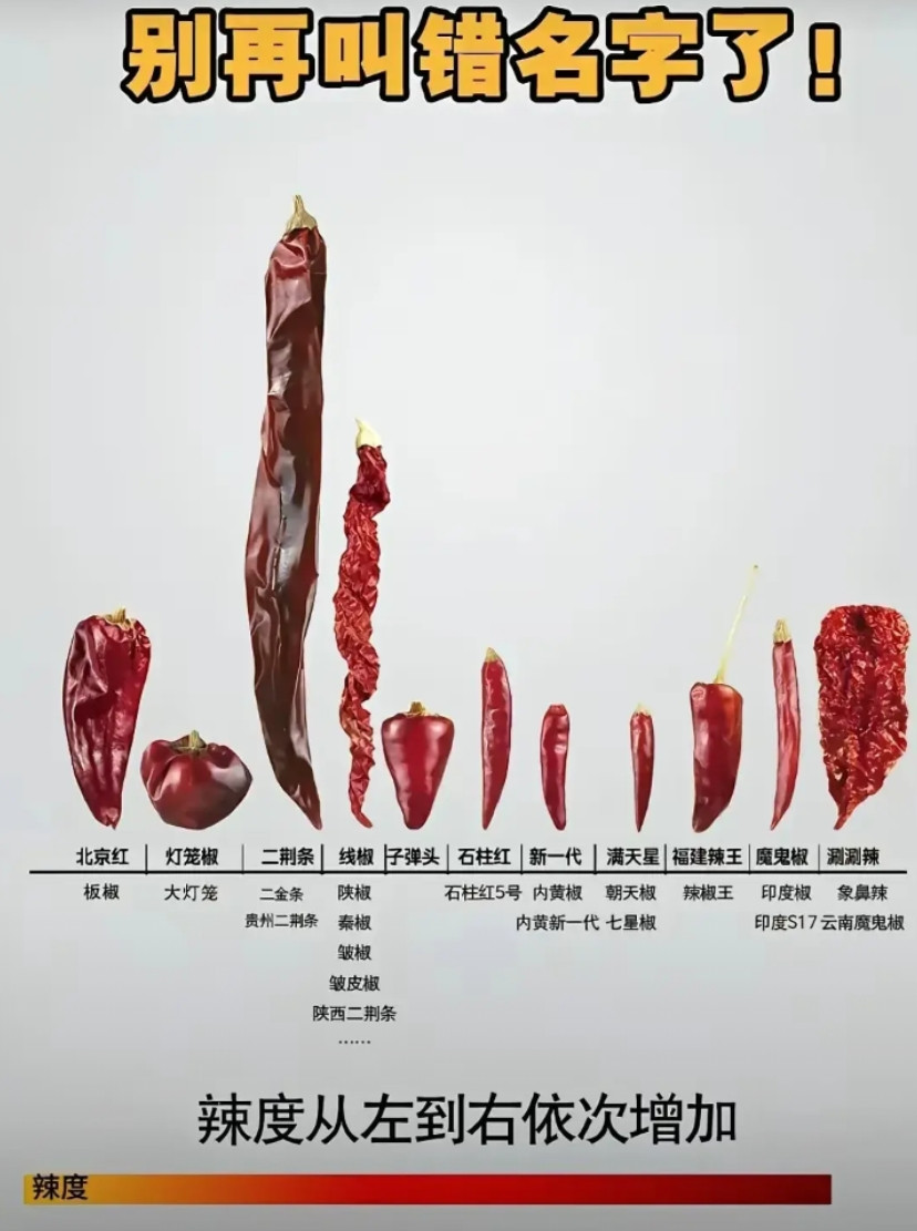 你吃过几种