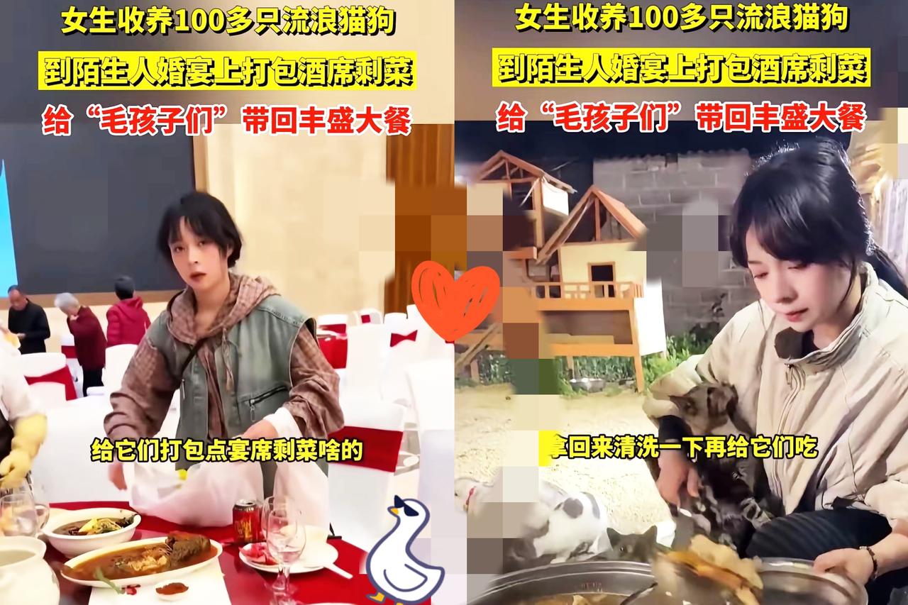 刷到云南这位女生的事我鼻子一酸！明明是善良最实在的模样！一个社恐姑娘，为了90