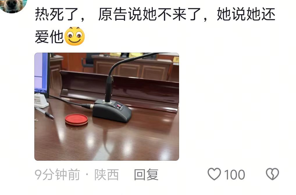 这已经不是简单的离婚案了，这是职业技能大赛，是宗门火拼