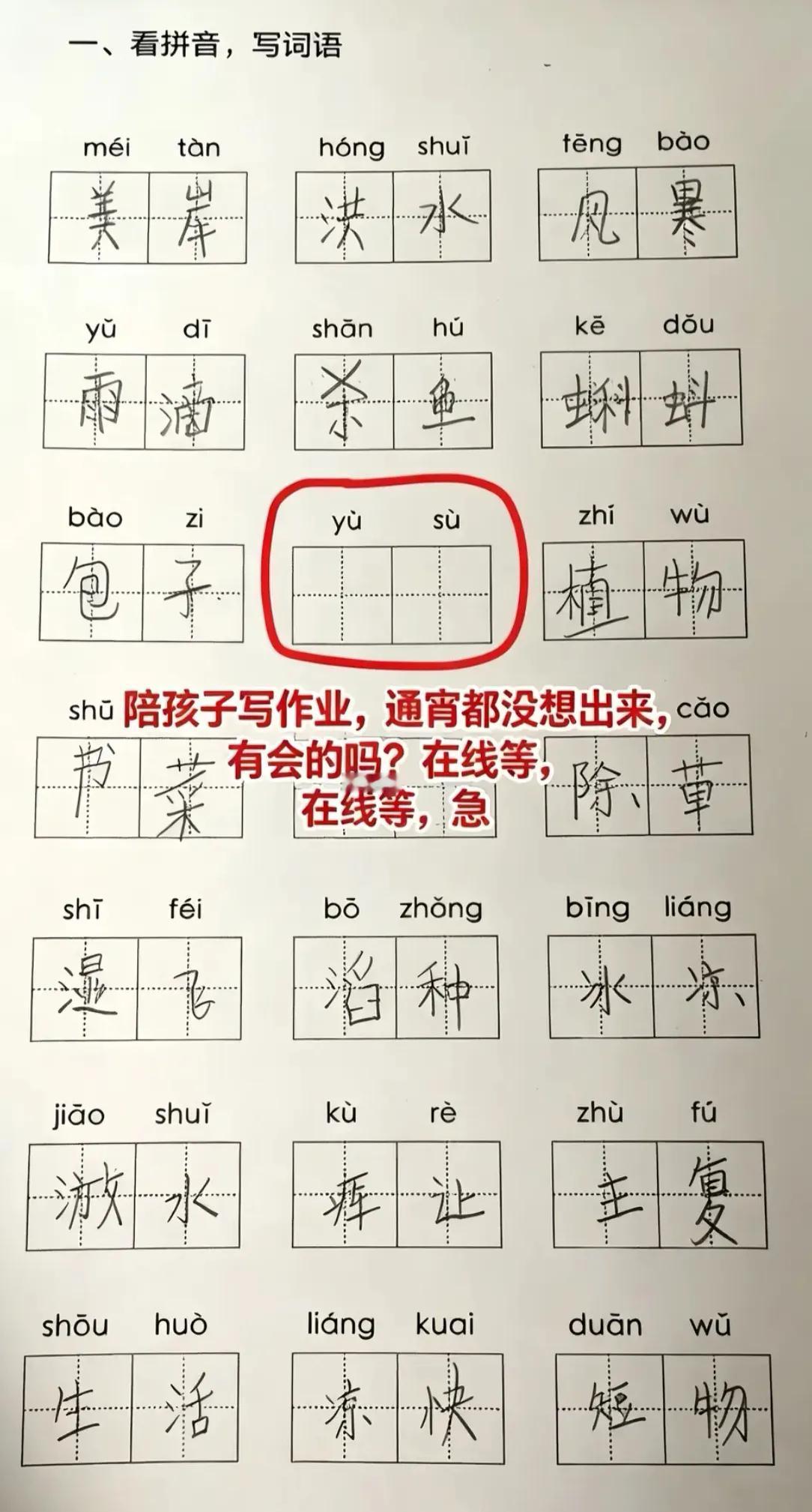 陪孩子写作业，被这道拼音题难住了！到底是什么词？好多字词看着简单，一写就错。现在