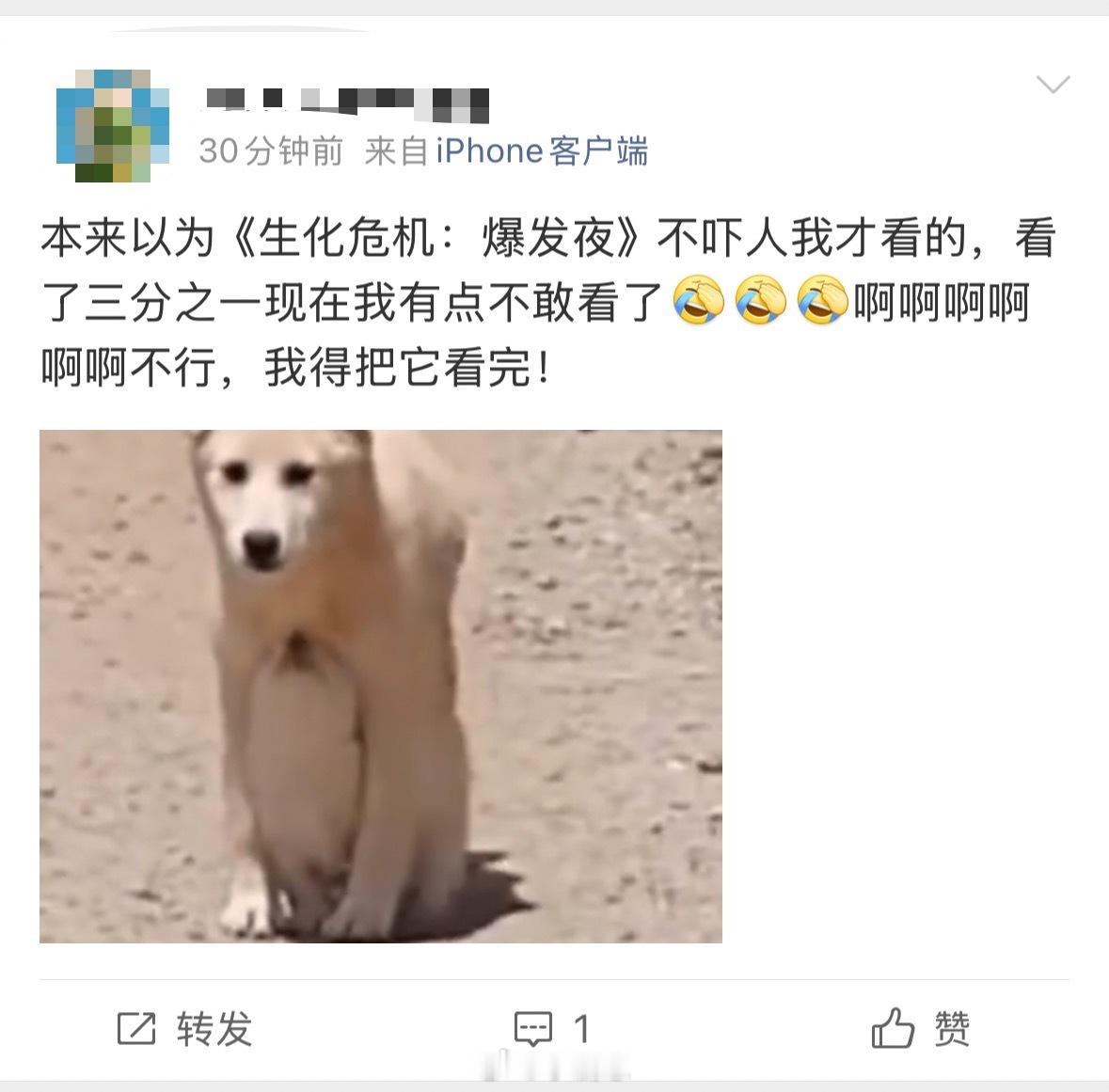 电影生化危机爆发夜生化危机爆发夜没有开挂主角，只有普通人的地狱求生！打斗和怪