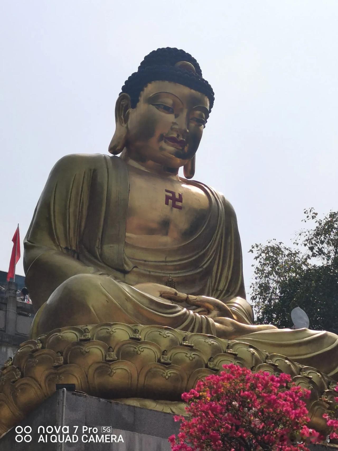 上等根器，如荷莲！具有很强的道心、慧根和定力！不是没烦恼，而是念起不随！心正