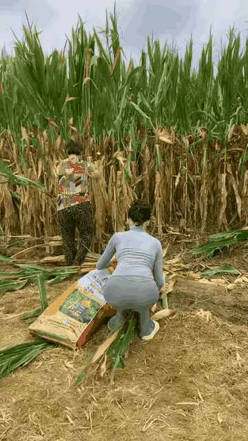 摆拍完别忘了回去直播啊