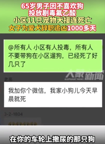 太执着了，北京一名女子因宠物狗被毒死，辞职寻找凶手！6月19日，这起案件已经延期