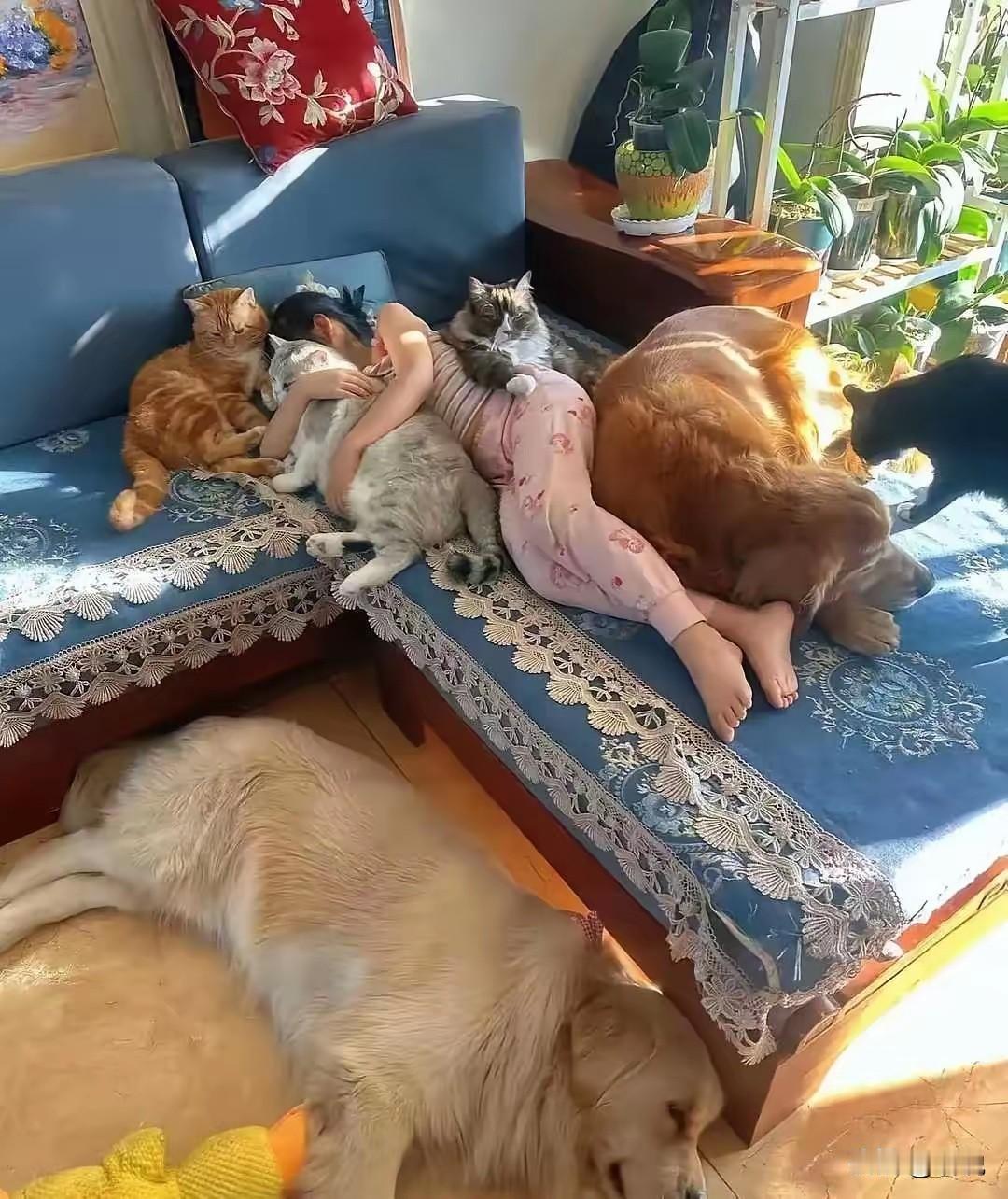 这大冬天都不需要盖被子了吧！