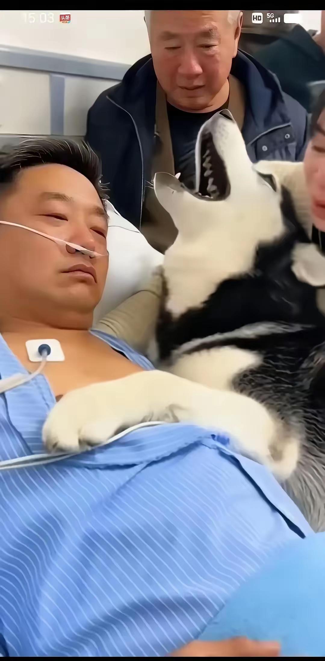 泪涌，丈夫患肺癌晚期快不行了，断断续续给妻子最后提出个要求，想最后一次见见家里的