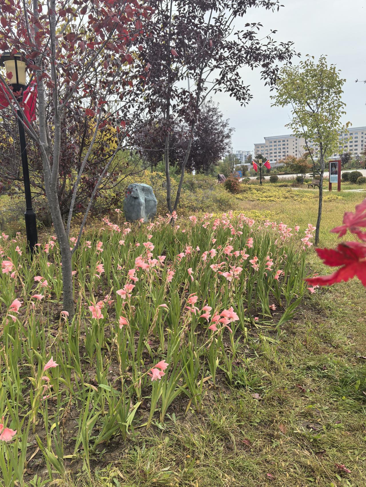 夜班是两个护士，一个护士16点30上班，到了0点，就可以去值班室睡觉了。另外的