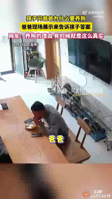 江苏一个男孩在写作业时，抬头看见了家里养的几只小狗，于是突然产生一个问题，便问坐