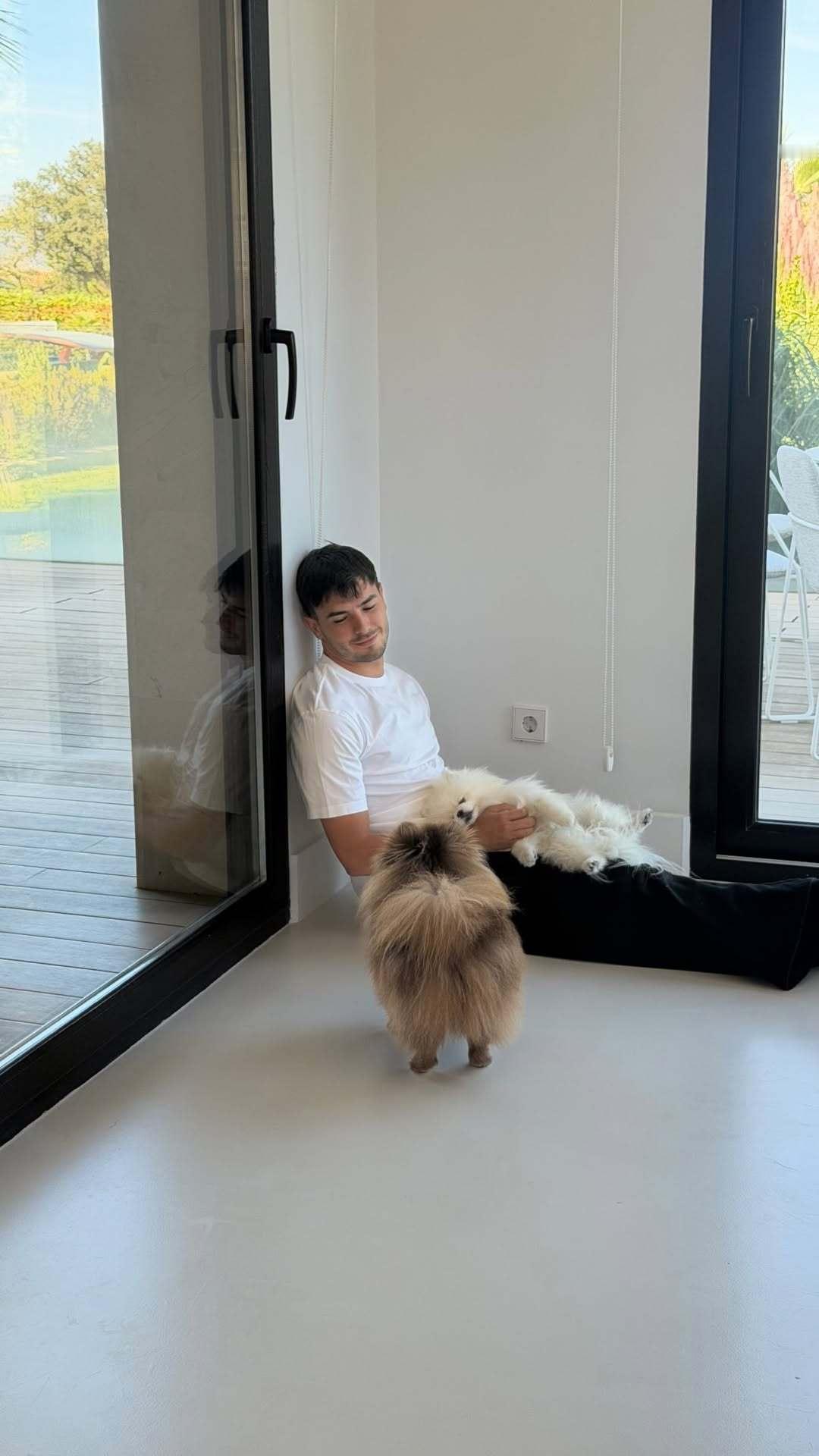 布拉欣家的狗狗​​​