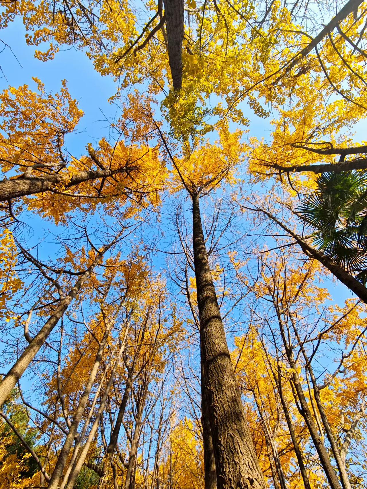 你觉得中年人的压力主要来自哪里经济上，房贷、车贷、孩子，老人，每一项都是沉重