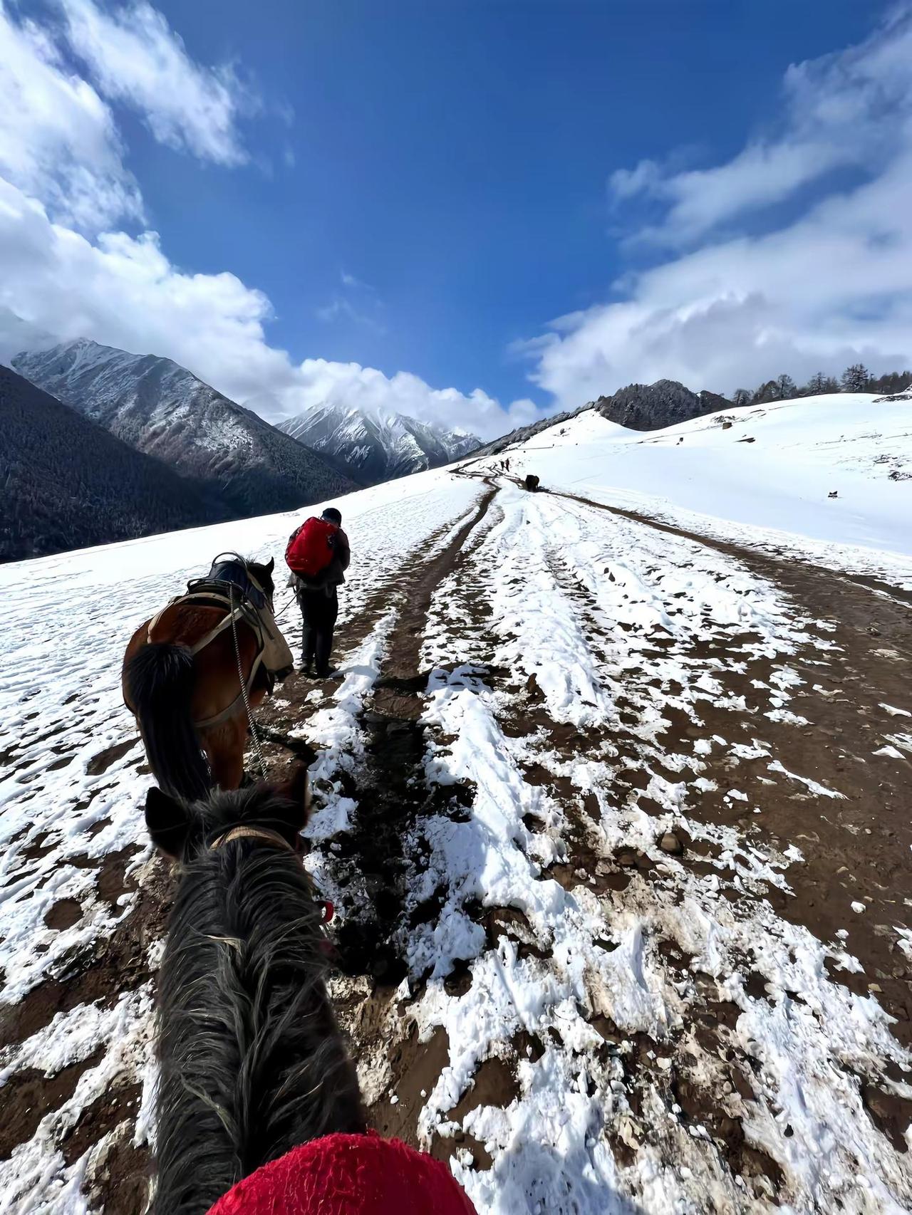 你教他不自卑结果他自信的甩了你.