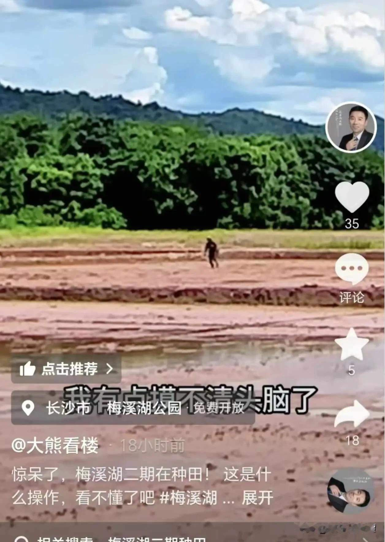 网友爆料：原来被给予厚望的梅溪湖二期开始种田了！梅溪湖新城是长沙重点打造的国际