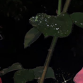 人生路漫漫，段段是华年。愿我们不骄不躁，不急不缓，心境坦然，心绪淡然，埋头见尘埃