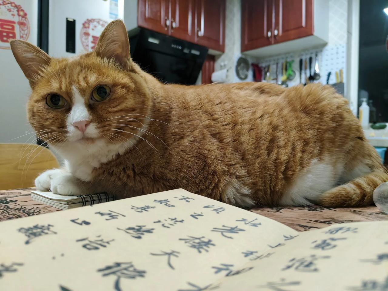 你们练字练了多久呢?被群里老师和师兄弟半真半假的夸有天赋，不知道该怎么想。