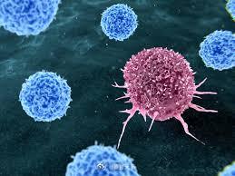 全球癌症三分之一以上病例可预防：烟草与酒精是主要习惯风险超过三分之一的癌症病例