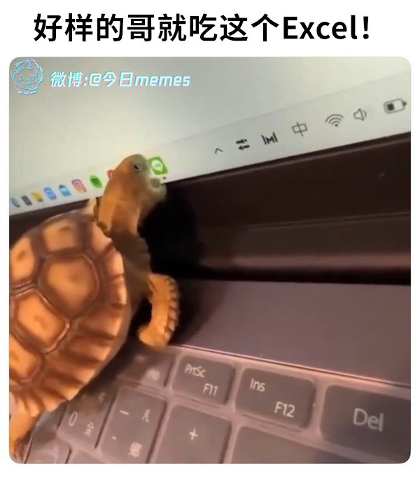 都是你的（9gag）哎呀​​​