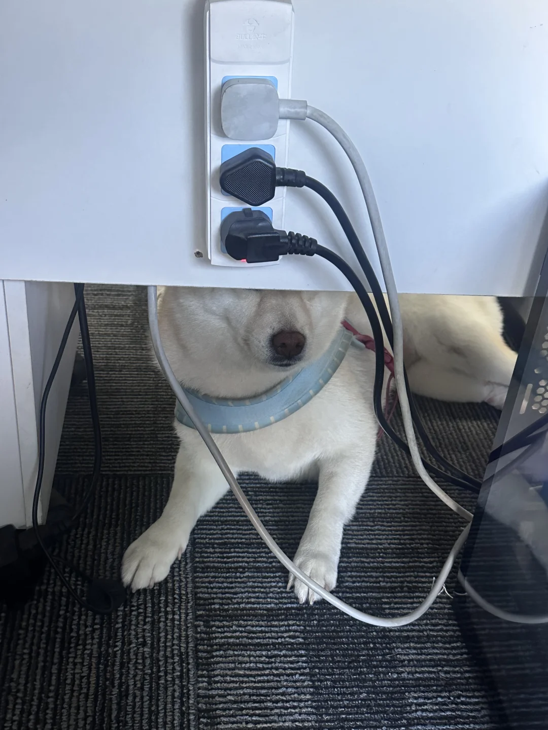 被隔壁同事监视了