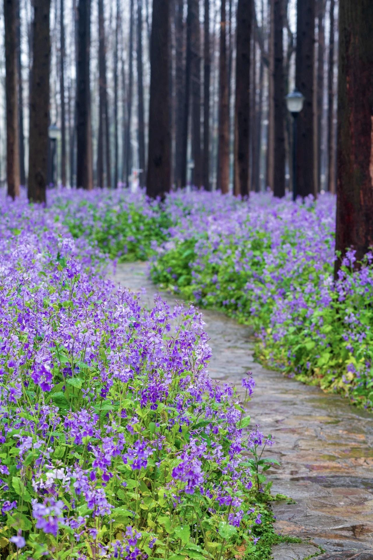 你以为孩子在学校都能认认真真学习吗？实际上，不少孩子在学校就是混日子。别说普通高