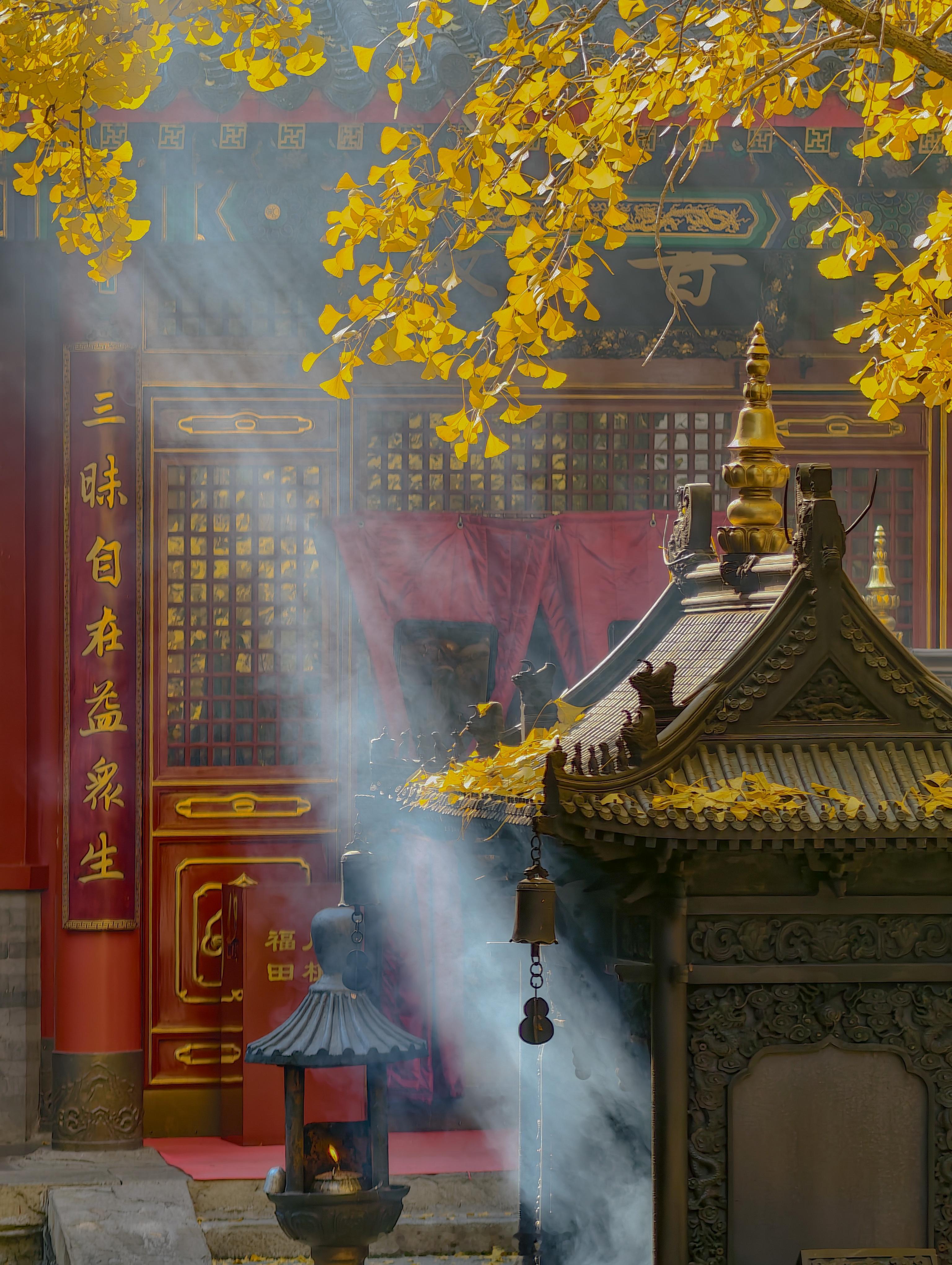 北京大悲寺秋色北京秋日美景加载中摄影​​​​