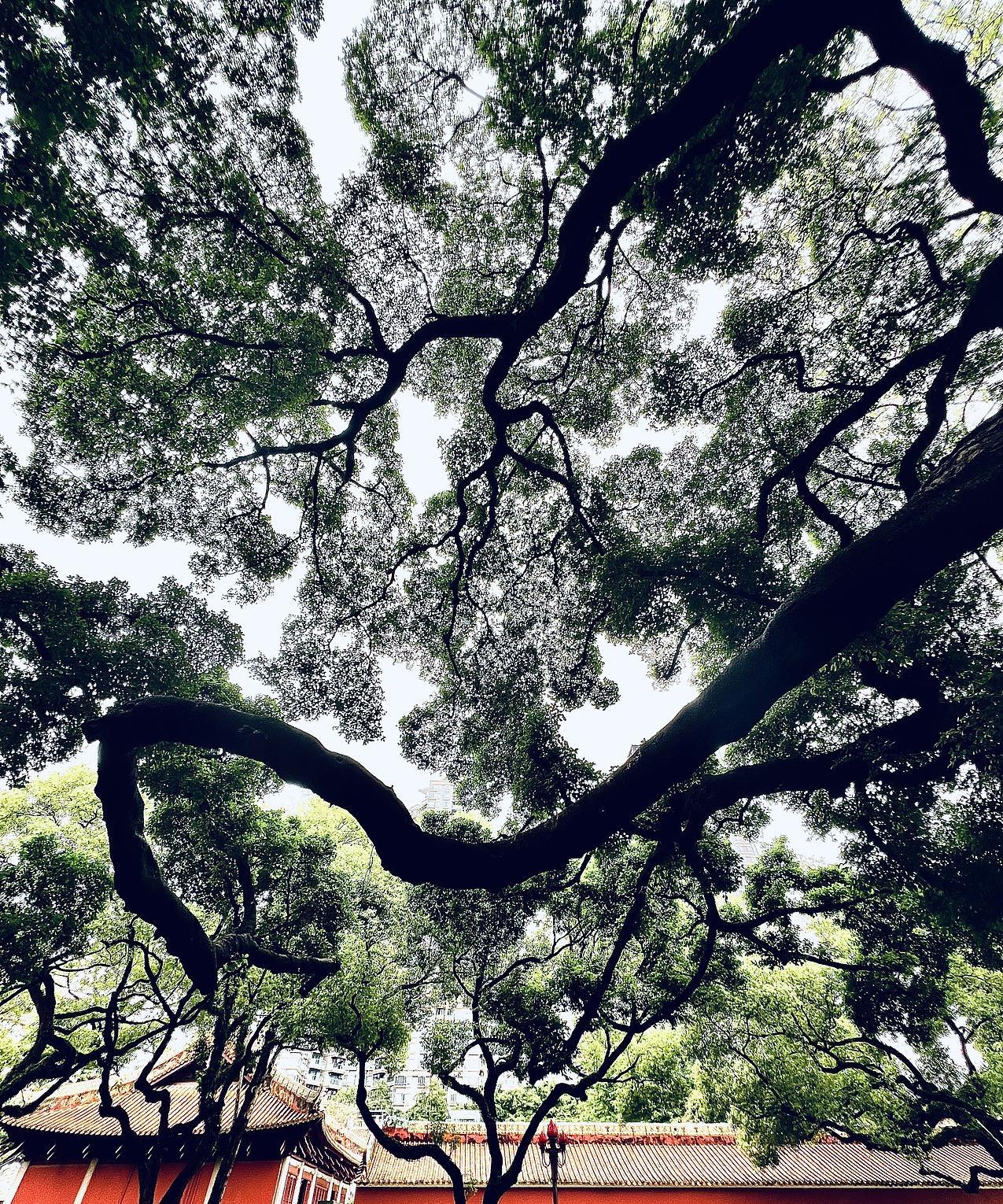 任何感情都没有快捷键，只有日复一日的“园艺模式”——常浇水、勤修剪、偶尔施肥，