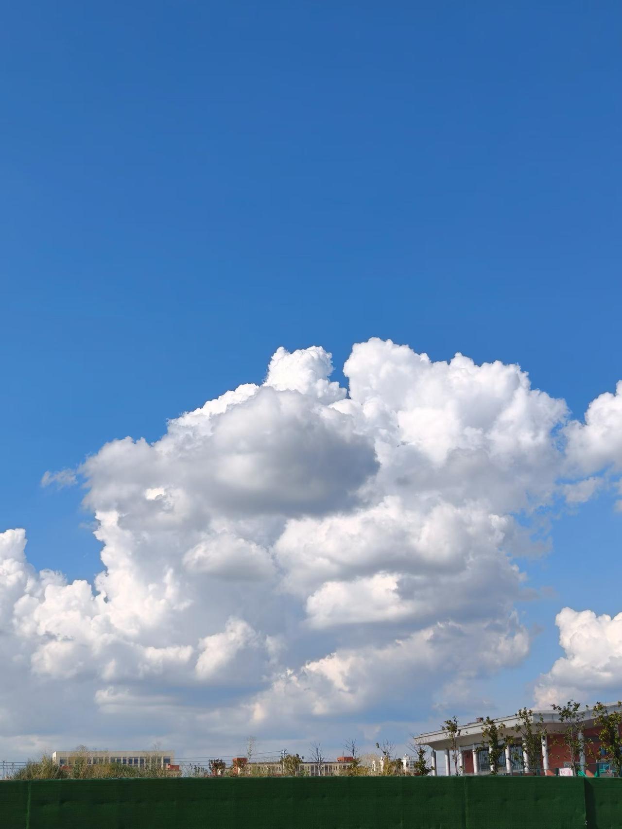 夏日限定治愈蓝天今日的天空美得不像话，澄澈透亮的湛蓝铺满视野，一团团蓬松白云肆