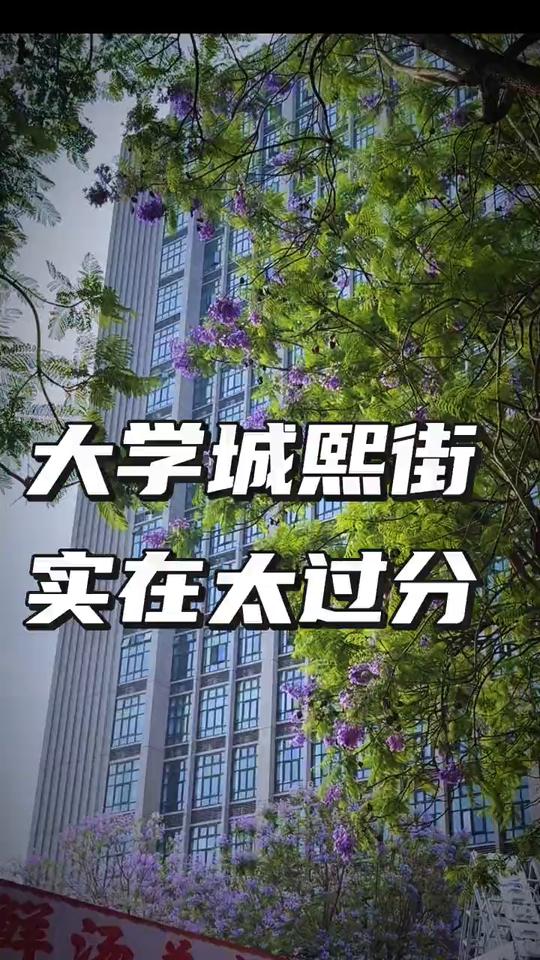 大学城熙街实在太过分。大学城实在是太过分了，熙街四周所有的街道密密麻麻，全是蓝