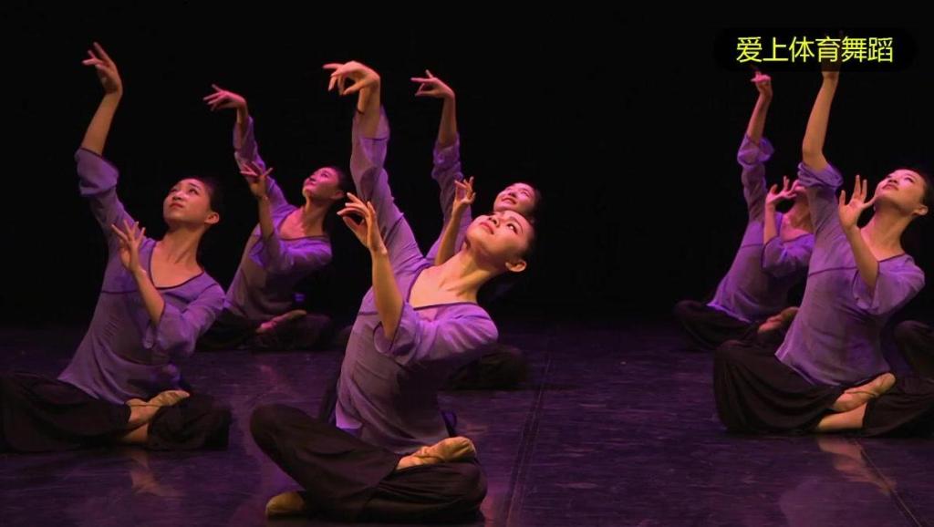 5《中国古典舞·身韵巡礼》“手之语(手意)