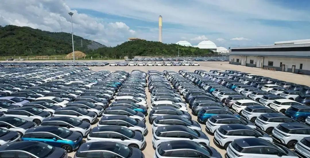 你说韩国人排外，看不上咱们的车？比亚迪去年的成绩单，直接甩了个响亮的耳光。