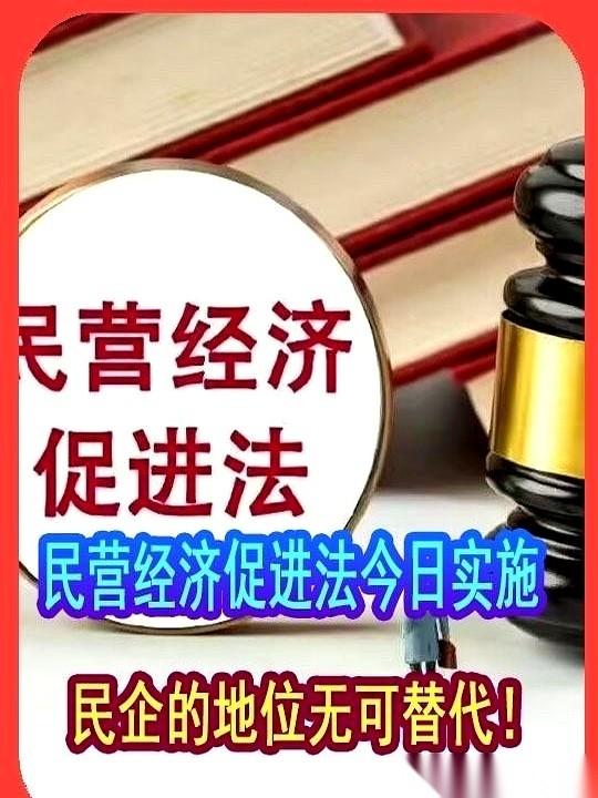 说真的，我们这些搞民企的，求的到底是什么？不是什么特权，也不是什么风口。就俩