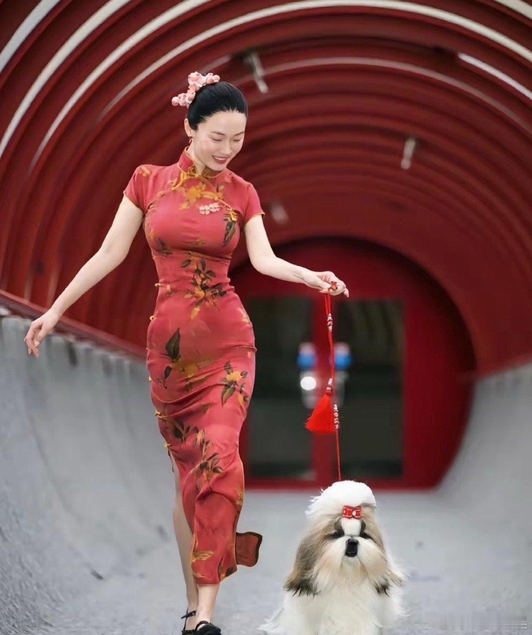 霍思燕养了20多只狗狗我印象最深的就是她们收养珍珠，当时就感觉他们夫妻俩特别的有