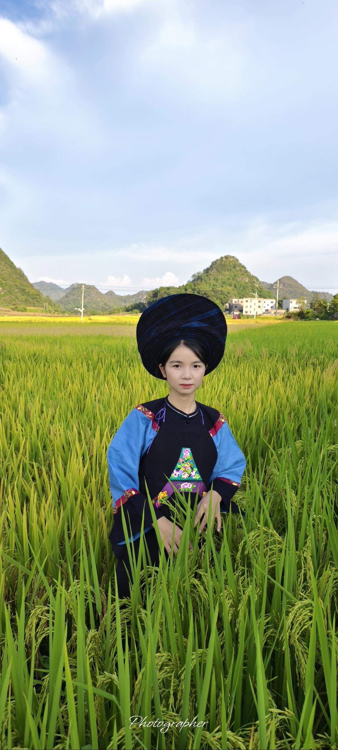稻田少数民族稻田风光美如画