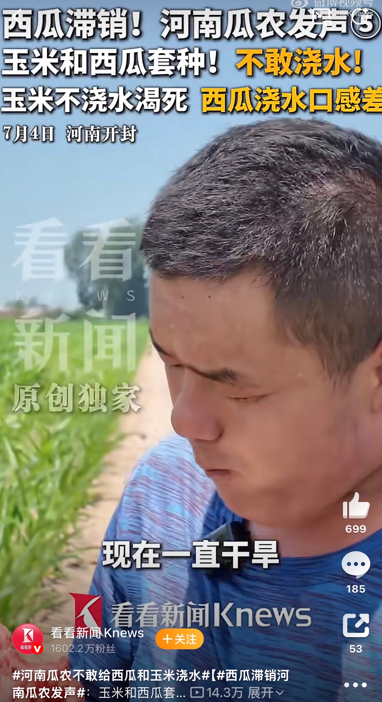 河南瓜农不敢给西瓜和玉米浇水农民实在太难了，玉米西瓜套种进退两难，浇水西瓜味道变