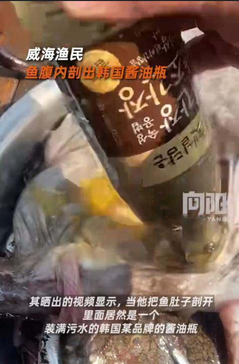 “离了个大谱！”1月7日，山东威海，一男子出海捕鱼时，竟从一条海鱼肚子里掏出一个