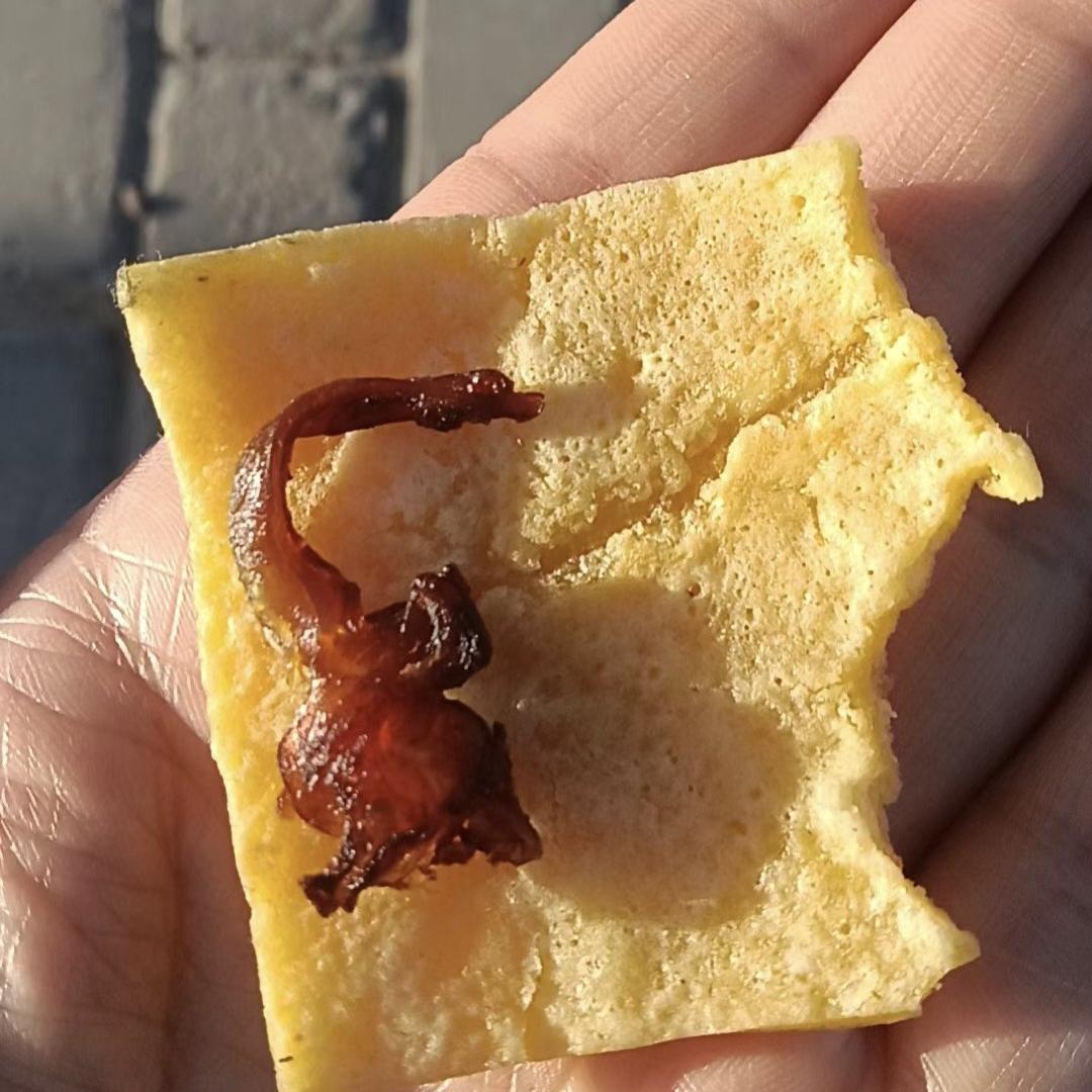 是感动也是难过！今天下午，我老早来到幼儿园门口，儿子上幼儿园中一班，今天不上延时